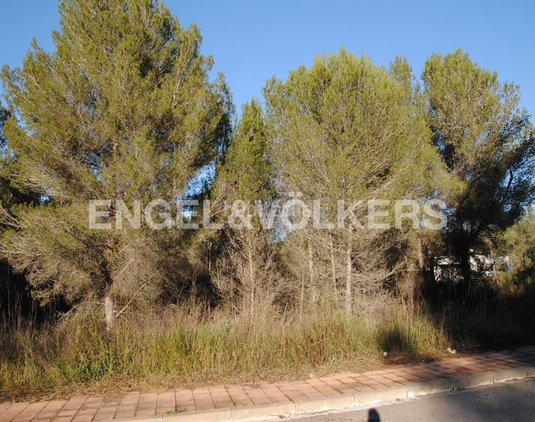 Foto 3001c281-734a-46e0-968a-11001c4c277b. Terreny residencial a Mas Alba Sant Pere de Ribes