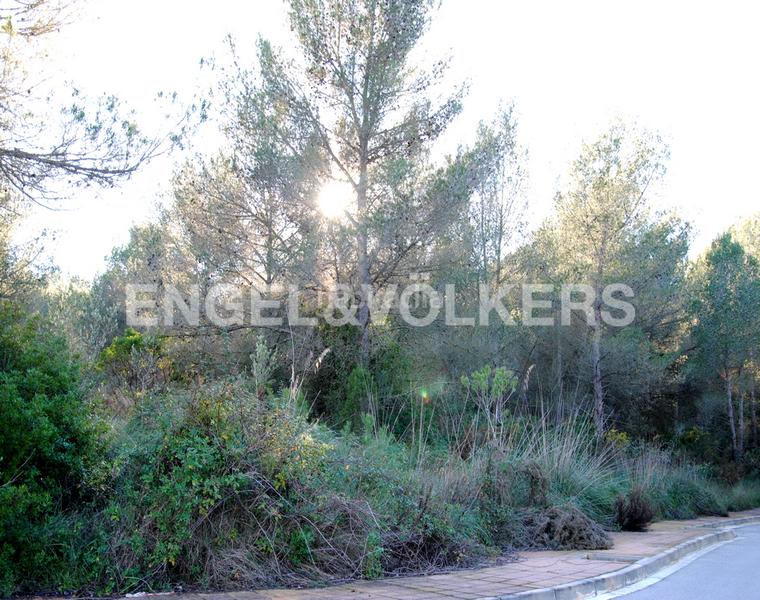 Foto d551d0b5-72e2-4741-ab38-9090cb82dc42. Terreny residencial a Mas Alba Sant Pere de Ribes