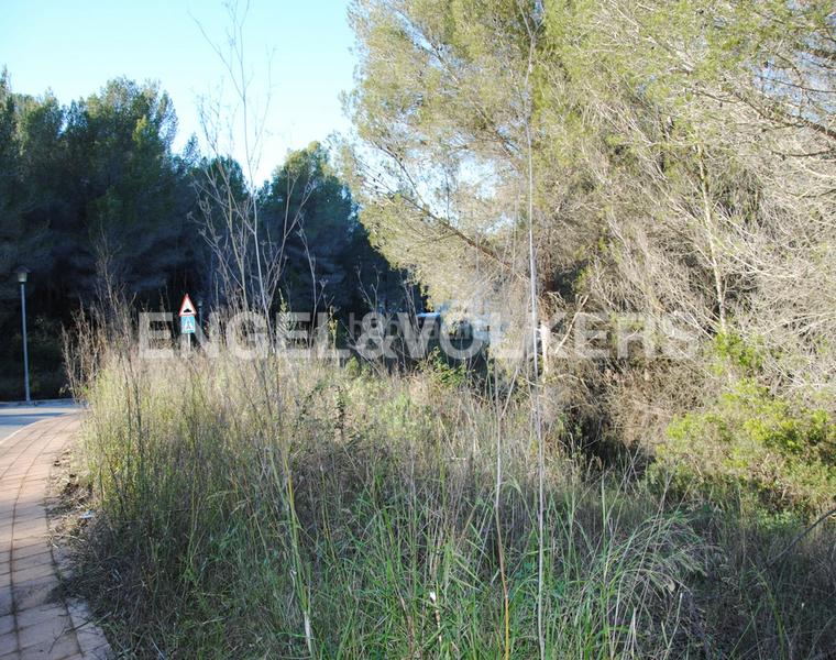 Foto e318b5b6-c9ed-44ff-bb61-c7d8db0954b2. Terreny residencial a Mas Alba Sant Pere de Ribes