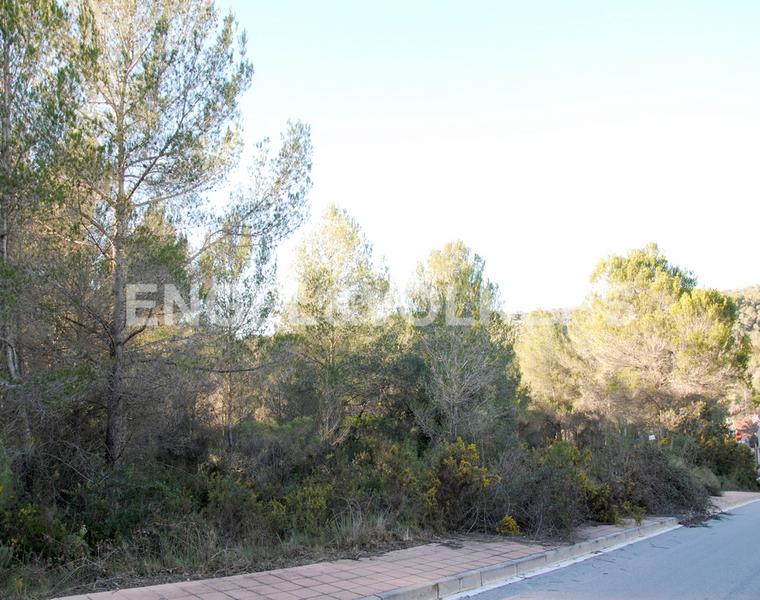 Foto e6d9841b-5c10-47a1-bd85-5a996b35084b. Terreny residencial a Mas Alba Sant Pere de Ribes