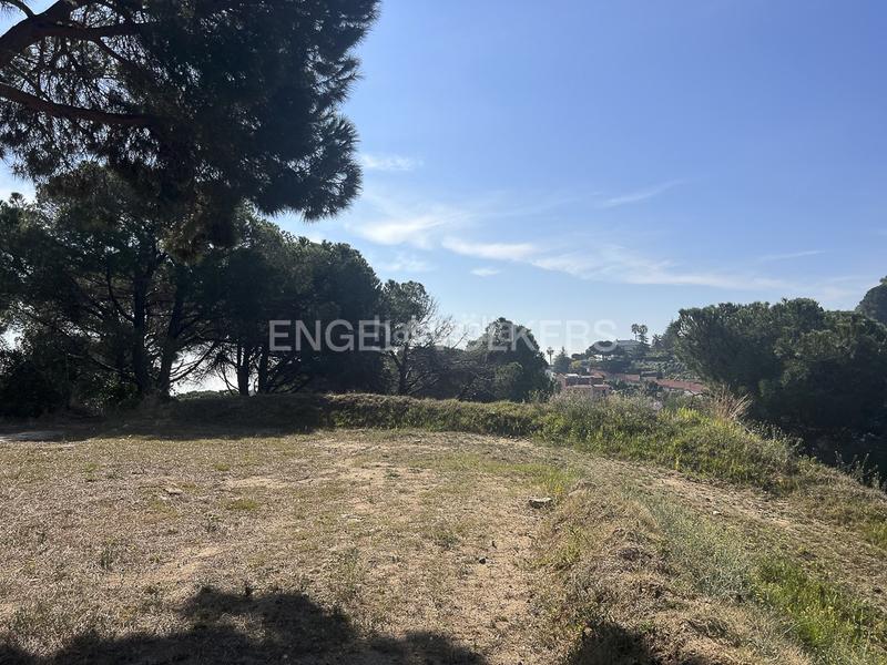 Foto 0f58243a-0fe1-4595-8cbd-dc0a3e14e254. Terrain résidentiel dans Rocaferrera Sant Andreu de Llavaneres
