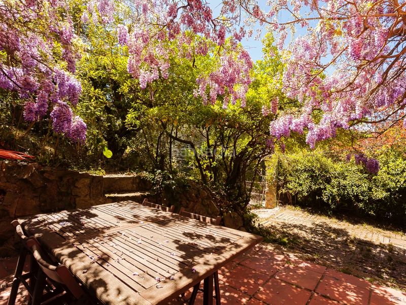 Foto e5af22a8-fc06-4e61-ba99-e07dbbcc10f8. Casa amb calefacció aparcament piscina a Vallvidrera - Tibidabo - Les Planes Barcelona
