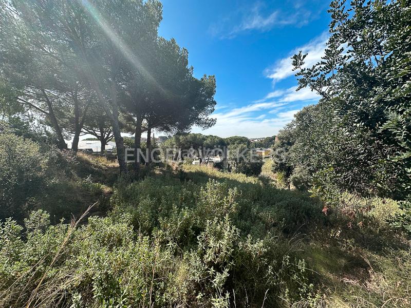 Foto 222a9962-f3f0-4be5-9459-9595d63fb6d3. Terreno residencial fabuloso terreno en Rocaferrera Sant Andreu de Llavaneres