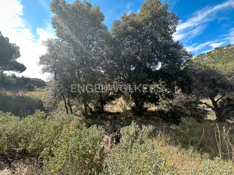 Foto 34f32ba3-7671-43d8-ab19-dfa3dd63a274. Terreno residencial fabuloso terreno en Rocaferrera Sant Andreu de Llavaneres