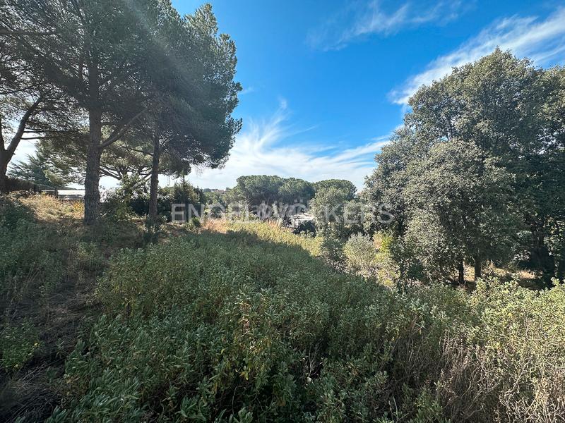 Foto 514d712d-ef2e-47bf-8f96-4071d1e6682e. Terreno residencial fabuloso terreno en Rocaferrera Sant Andreu de Llavaneres
