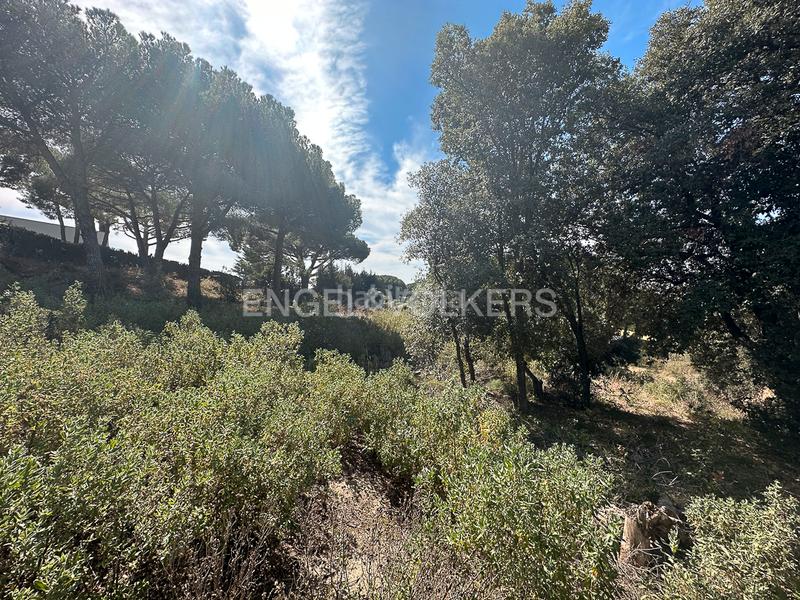 Foto da70e327-7a8d-4b60-834a-e46fe846430a. Terreno residencial fabuloso terreno en Rocaferrera Sant Andreu de Llavaneres