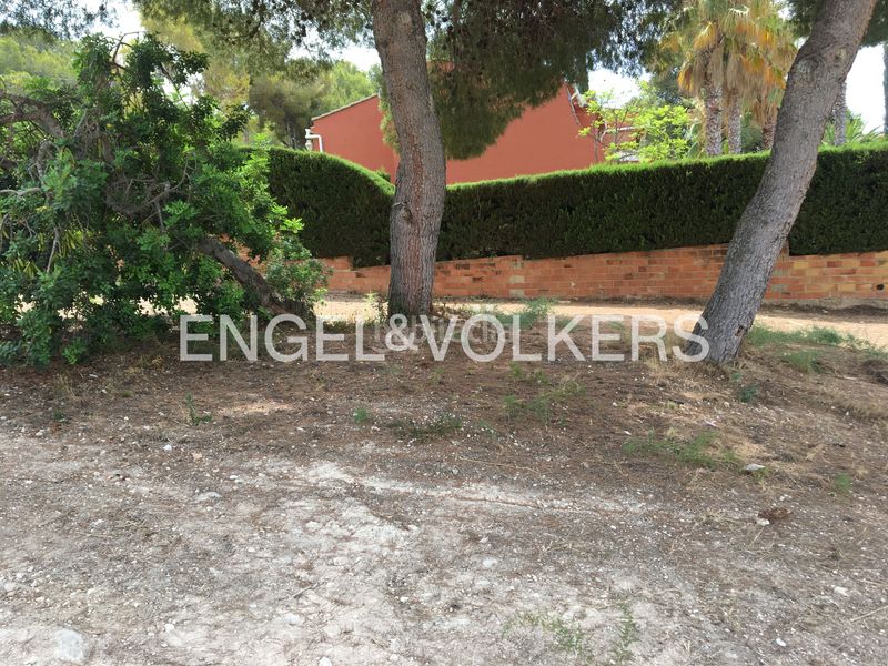 Foto 03f0d6cf-452a-451b-aa4a-61b9fa3086fa. Terreny residencial a Roda de Barà