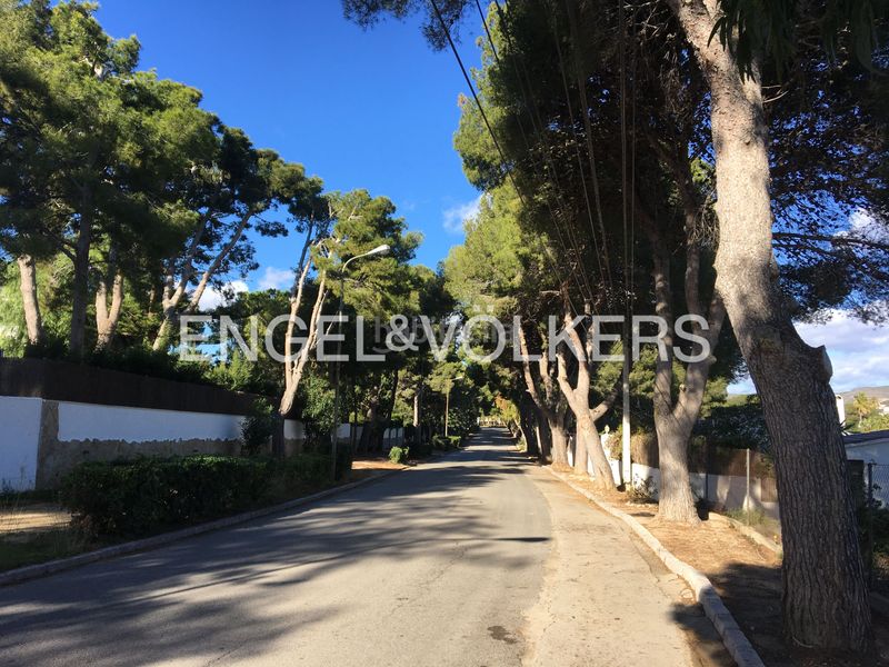 Foto e3b966f2-5946-4267-8d16-54780cae1cf5. Terreny residencial a Roda de Barà
