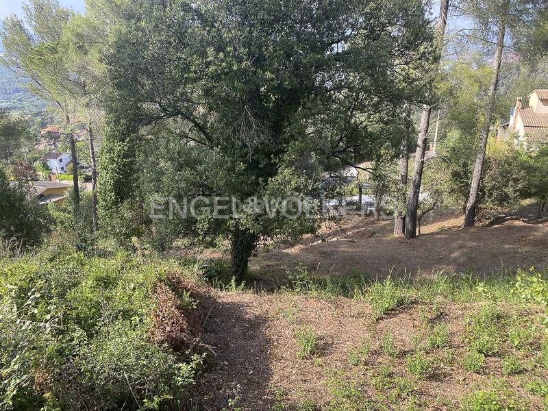 Foto bb2203cd-d7a8-401e-a770-b5631b2e7ca1. Wohngrundstück in Martorell