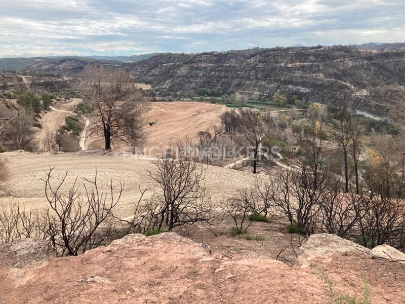 Foto ca866cd3-6a36-4c30-9730-e91e3c39a443. Terreno residenziale in Sant Fruitós de Bages