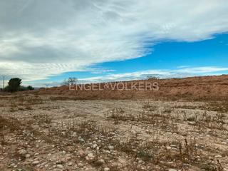 Terreny residencial  Pol 13sfb.pa24,26,27,162. 20 hectáreas de terreno cultivable junto al río
