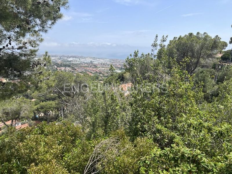 Foto cc68ecc0-00d7-49bd-8923-892494e219ca. Wohngrundstück in Premià de Dalt