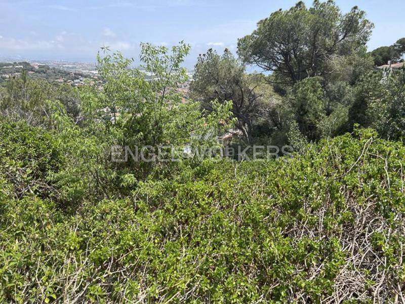 Foto 1a14896b-27ea-472d-8333-1e0d993ff4e9. Terreny residencial a Premià de Dalt