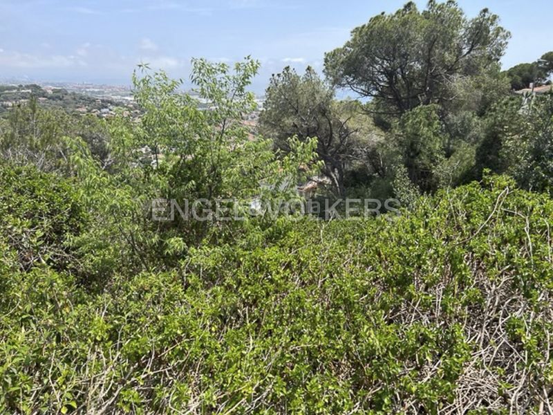 Foto 4efc7d99-edc2-4408-b5c2-abdc2ff91473. Terreny residencial a Premià de Dalt