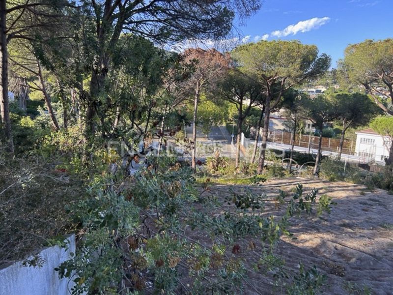 Foto 5d7c03fb-3435-4ba5-89ca-66d83f85a244. Terreny residencial a Premià de Dalt