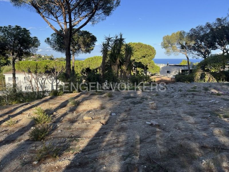 Foto 8d1fef15-ccf1-4088-9669-1a7bfddd3d0f. Terreny residencial a Premià de Dalt