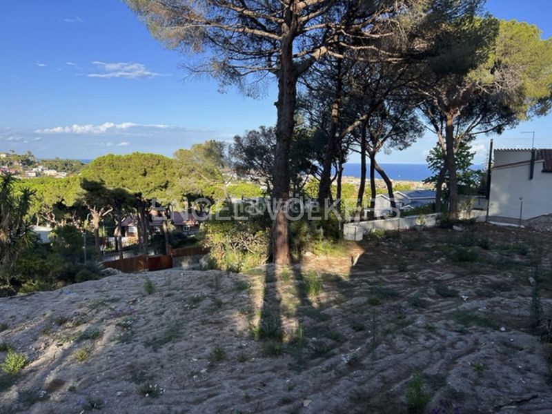 Foto cf3c75b9-013a-412a-a910-5467b3568b8b. Terreny residencial a Premià de Dalt