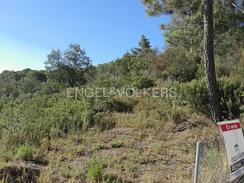 Foto 4e3954c4-2a71-4f5a-a005-f2b4f15fa5cd. Terreny residencial a Sant Celoni