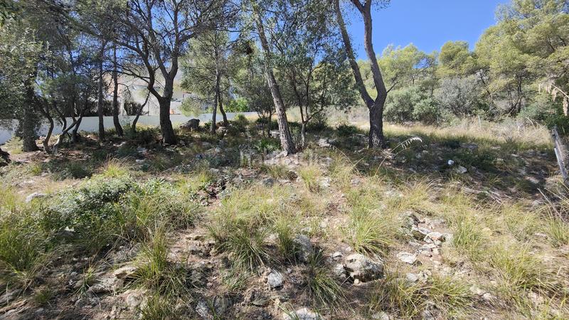 Foto 31c4f7ec-c3e6-452e-9c65-e53ff09362e6. Terrain résidentiel dans Bellamar Castelldefels