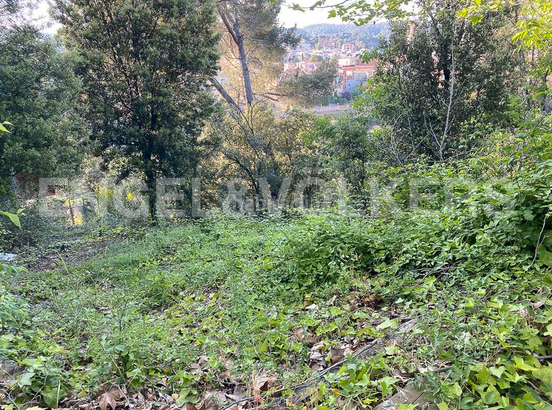 Foto f7d1621a-139b-4b5a-bd60-2c2ba9d6eba9. Terreny residencial a Sant Feliu de Codines