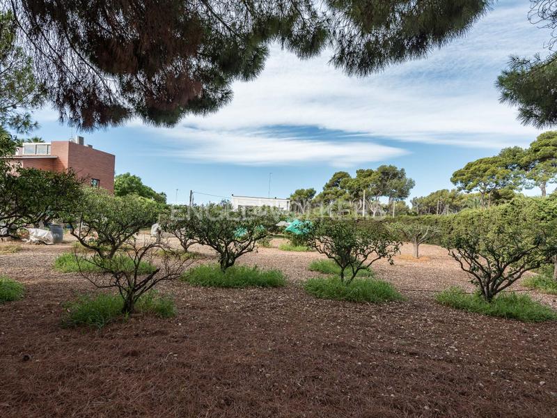 Foto 0d305e8b-4987-41f0-8983-7b672580c396. Terreno residencial una joya en la exclusiva zona de terramar . en Sitges