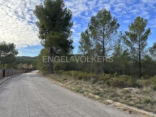 Terreny residencial a Montmell (El). Gran parcela cerca de aiguaviva