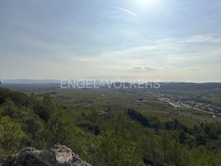 Terreny residencial a Torrelles de Foix. Finca agrícola de gran extensión con vistas espectaculares