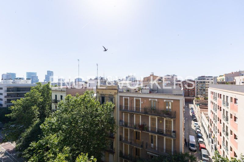 Foto 7374c167-953e-4b4c-ab49-31681e97a2a2. Àtic amb calefacció a Poblenou Barcelona