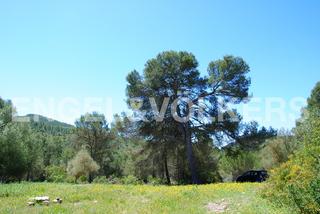 Mas à Olivella. Gran finca con grupo de masías en garraf