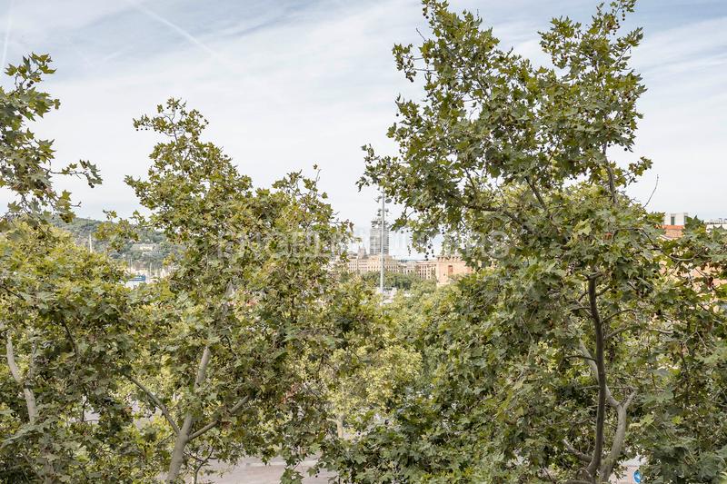 Foto ad661e60-d199-42b6-b72b-bce4f0ab01d8. Appartement avec chauffage dans Barceloneta Barcelona