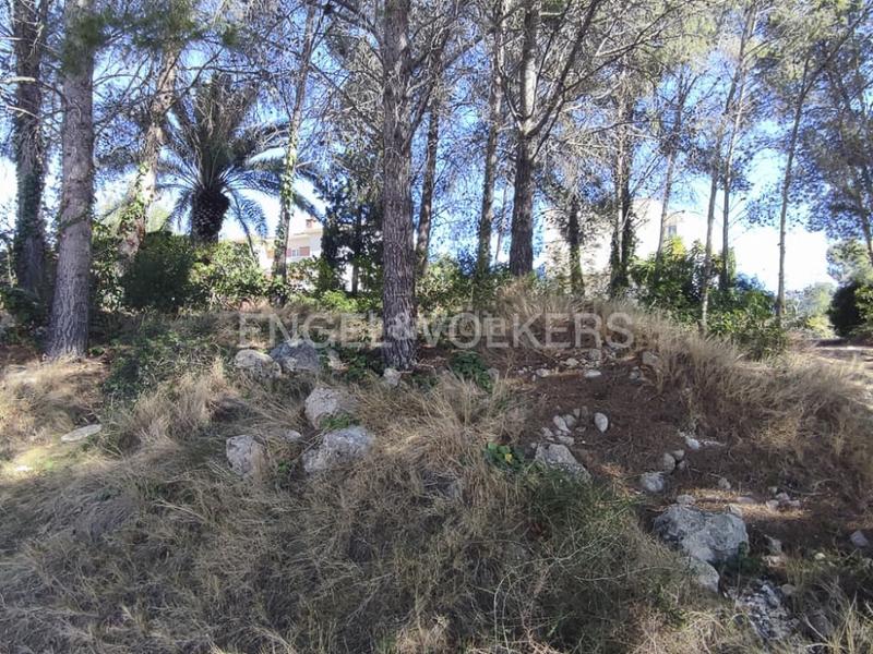 Foto 951af039-4d03-43d2-a889-8e04765aff6c. Terrain résidentiel dans Urbanitzacions de Llevant Tarragona