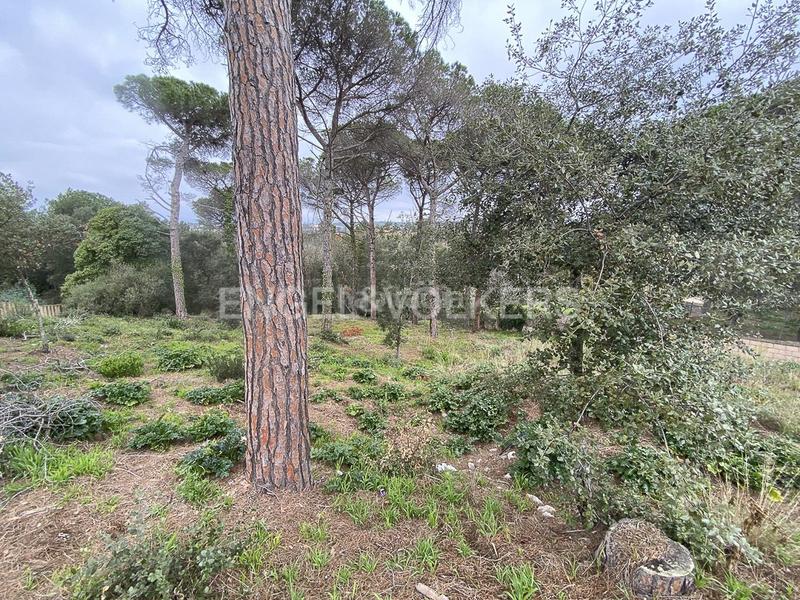 Foto 2a732530-3bef-4f75-9652-8b201dda8404. Wohngrundstück in Mas Mora-Sant Daniel Tordera