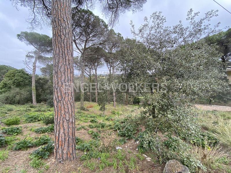 Foto 71a9c3f4-e544-4372-abe3-9cb63f097213. Wohngrundstück in Mas Mora-Sant Daniel Tordera