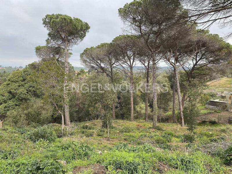 Foto 860a58e6-17dc-4fc3-aaff-ddadcc66eee8. Wohngrundstück in Mas Mora-Sant Daniel Tordera