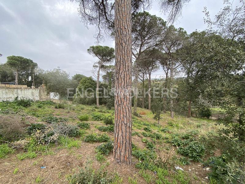 Foto 8613d8d0-c7ff-48ed-8df9-a8528a4ec976. Wohngrundstück in Mas Mora-Sant Daniel Tordera