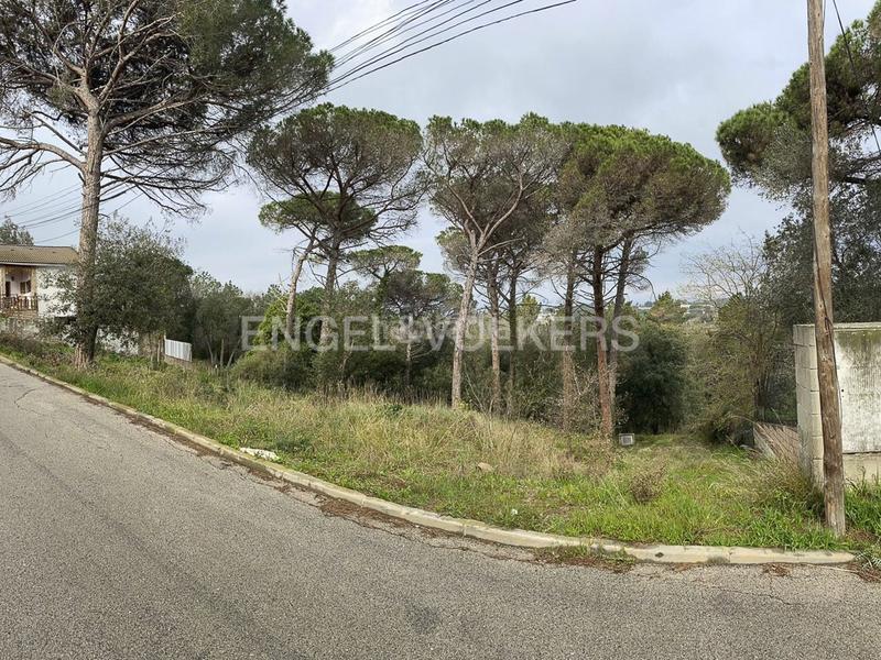 Foto 866897d7-0432-4a61-b24d-0351130ef471. Wohngrundstück in Mas Mora-Sant Daniel Tordera