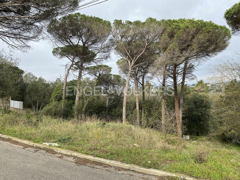 Foto 9831e555-a2fa-48df-ba36-d88196b2e642. Wohngrundstück in Mas Mora-Sant Daniel Tordera