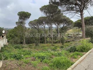 Terreny residencial a Mas Mora-Sant Daniel. Terreno en mas mora tordera