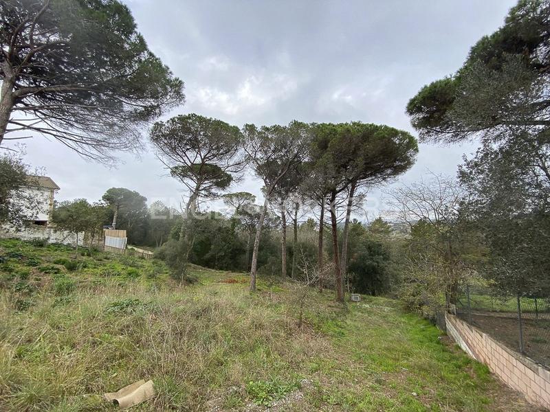 Foto e797e971-d024-4d1c-80d6-20a571160743. Wohngrundstück in Mas Mora-Sant Daniel Tordera