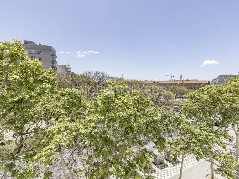 Foto 74ef12ec-3bac-4abd-8865-5c7d25b7b5f6. Piccolo appartamento con riscaldamento parcheggio in Barcelona