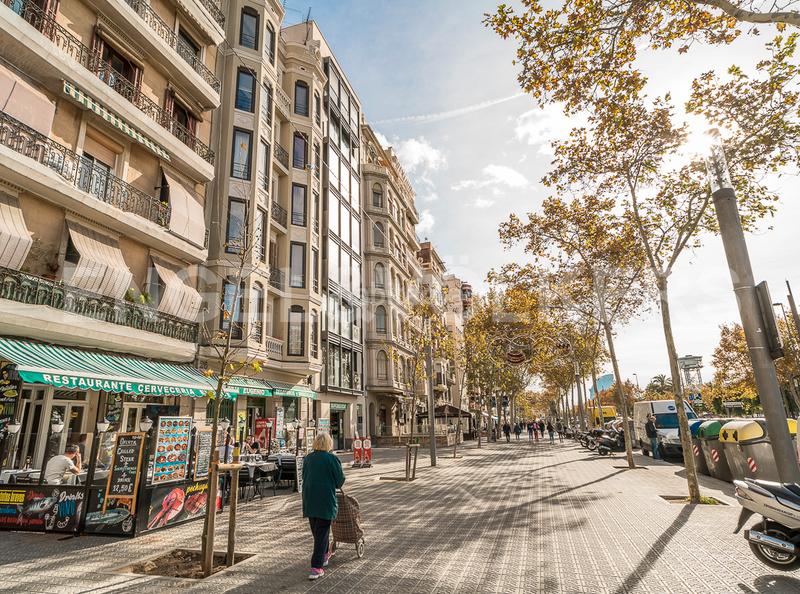 Foto a895778b-9186-456c-b152-9552044dfbdd. Apartamento encantadora planta baja en la Barceloneta en Barcelona