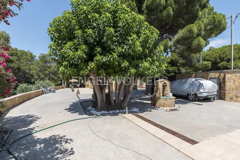 Foto 45876169-e94c-4cd1-9835-d44bd16b90a6. Casa encantadora villa con piscina en Centre Sitges