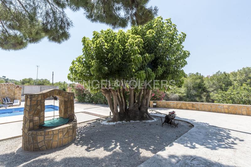 Foto 835d874c-9dbe-4beb-a752-7a95394367b3. Casa encantadora villa con piscina en Centre Sitges