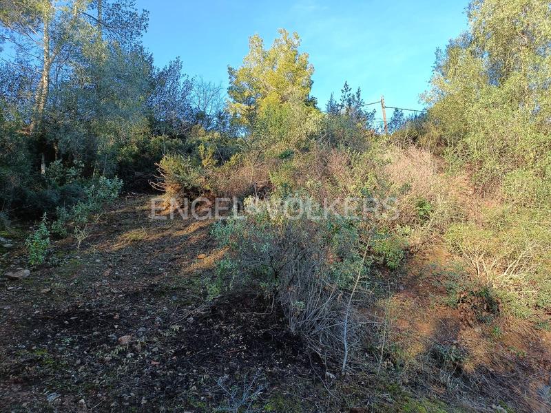 Foto 149ca337-9fce-4e49-bdf9-98856da614cd. Wohngrundstück in Cervelló