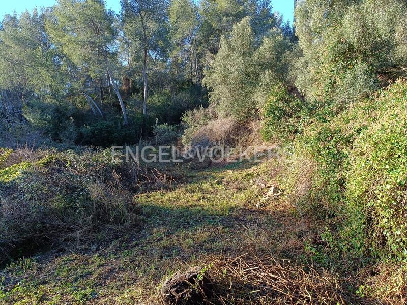 Foto 9ae1f8a8-d0e8-4e4d-b81a-e704f1766309. Wohngrundstück in Cervelló