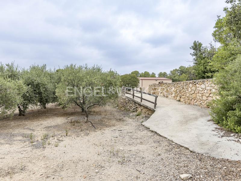 Foto 1372e1fe-377d-4504-8773-c1421617d2f6. Wohngrundstück in Altafulla