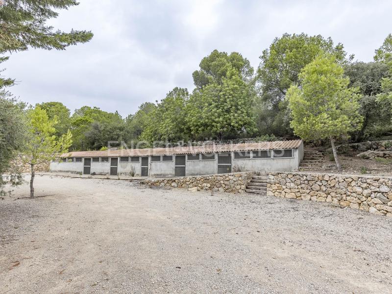 Foto 2c88ea89-3589-4d69-80a4-feb3d61b1472. Wohngrundstück in Altafulla