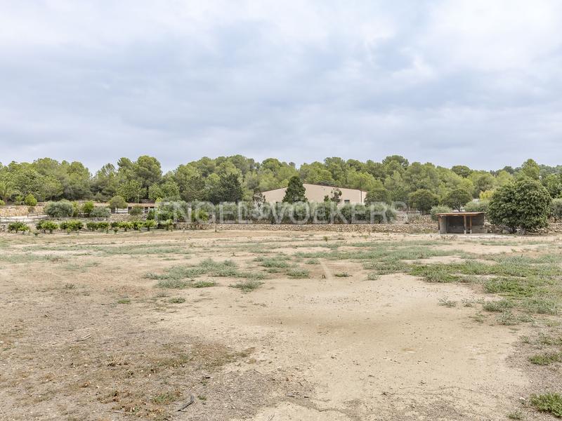 Foto 42e8d52e-445f-4711-9098-c734b5af58dd. Wohngrundstück in Altafulla