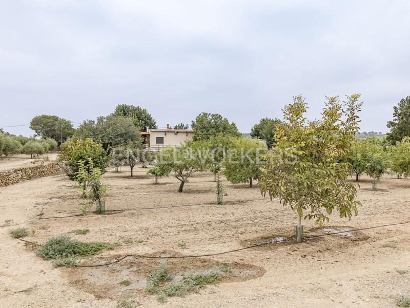 Foto 658b2117-fc0b-4946-8e5e-891fd3d4f2b3. Wohngrundstück in Altafulla