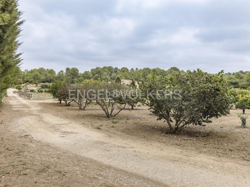 Foto 8c060a92-603f-4691-b544-2a2064b0ad31. Wohngrundstück in Altafulla